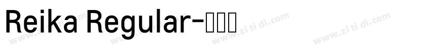 Reika Regular字体转换